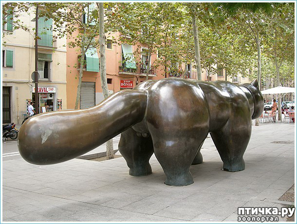 ���� 13: ��������� �� ������ � ���