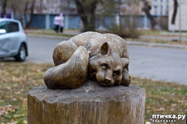 ���� 3: ���������� ����� � ������ ������� � �������.