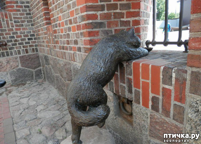 ���� 4: ���������� ����� � ������ ������� � �������.