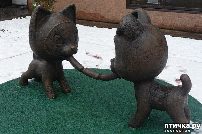 ���� 5: ���������� ����� � ������ ������� � �������.