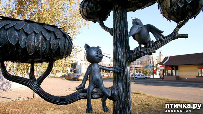 ���� 6: ���������� ����� � ������ ������� � �������.