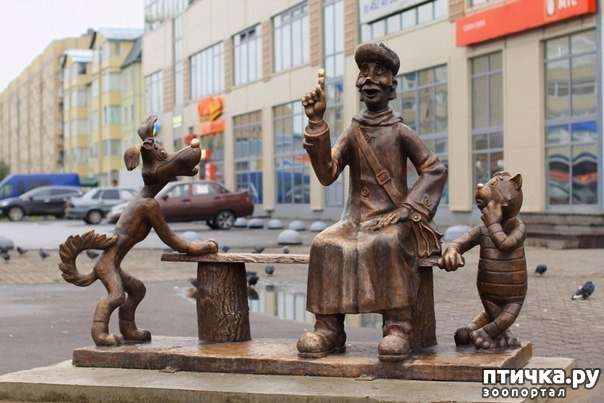 ���� 7: ���������� ����� � ������ ������� � �������.