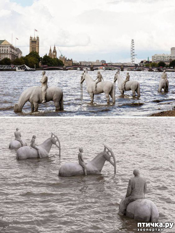 ���� 14: ��������� �� ������ � ���