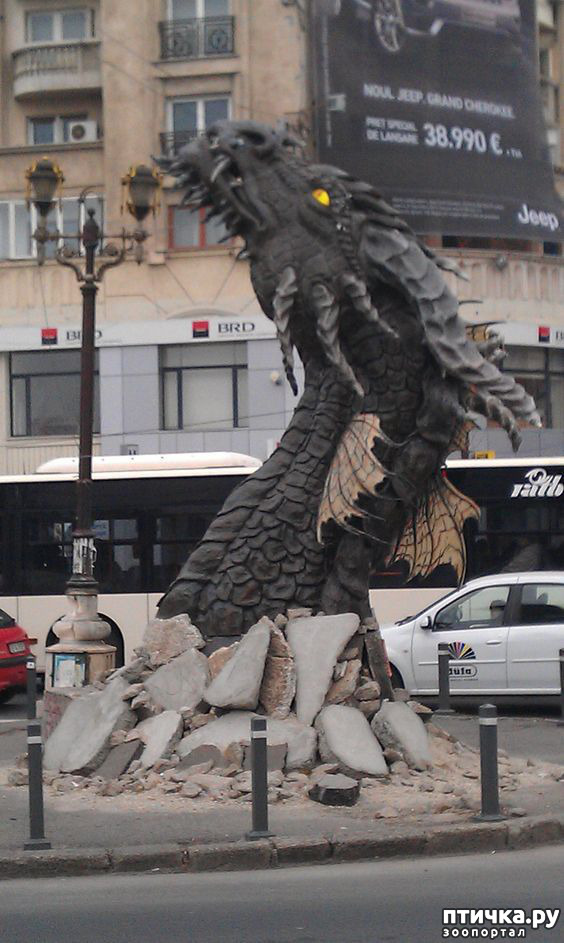 ���� 16: ��������� �� ������ � ���