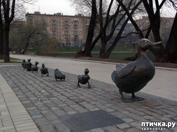 ���� 17: ��������� �� ������ � ���