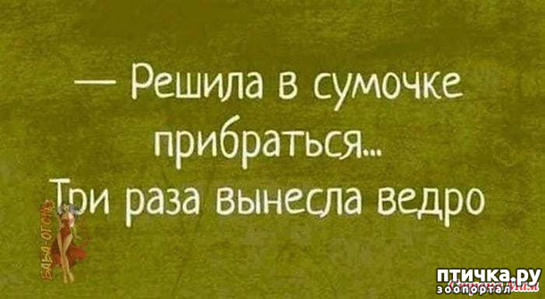 ���� 12: ����������� ��� ������� �� ���������