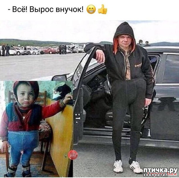 ���� 13: ����������� ��� ������� �� ���������