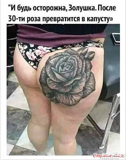 ���� 15: ����������� ��� ������� �� ���������