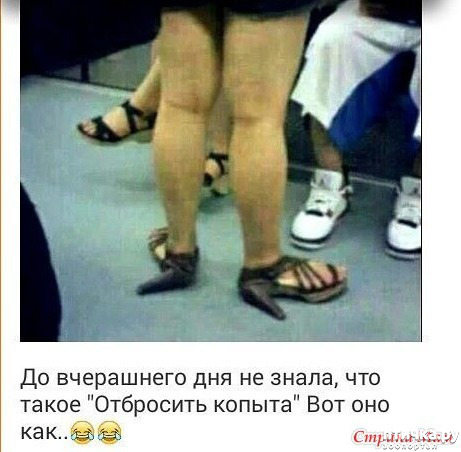 ���� 14: ����������� ��� ������� �� ���������