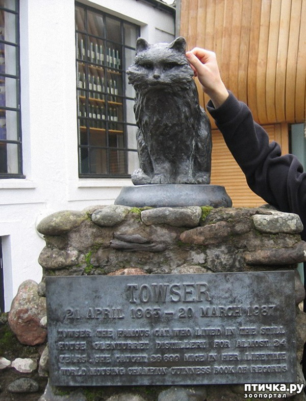 ���� 8: ���������� ����� � ������ ������� � �������.