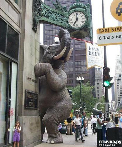 ���� 19: ��������� �� ������ � ���