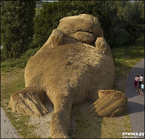 ���� 20: ��������� �� ������ � ���