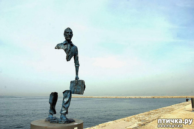 ���� 23: ��������� �� ������ � ���