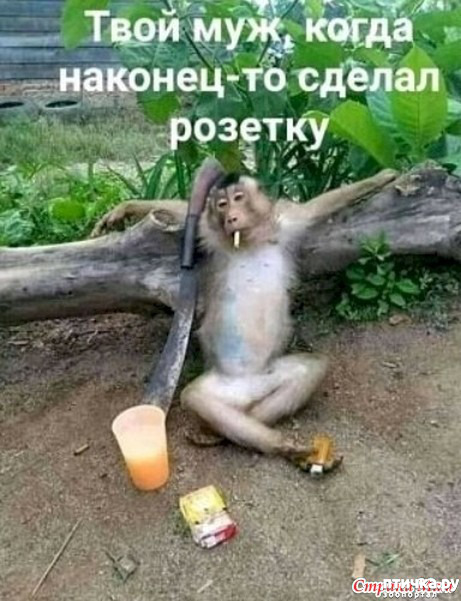 ���� 20: ����������� ��� ������� �� ���������