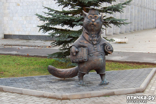 ���� 10: ���������� ����� � ������ ������� � �������.