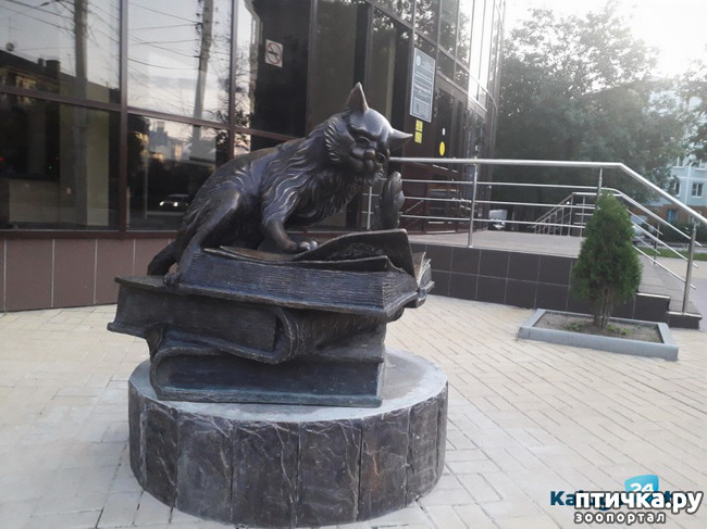 ���� 11: ���������� ����� � ������ ������� � �������.