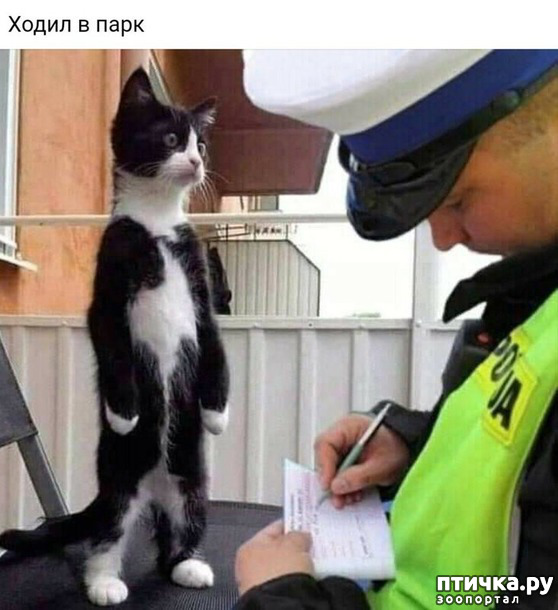 ���� 29: ����������� ��� ������� �� ���������