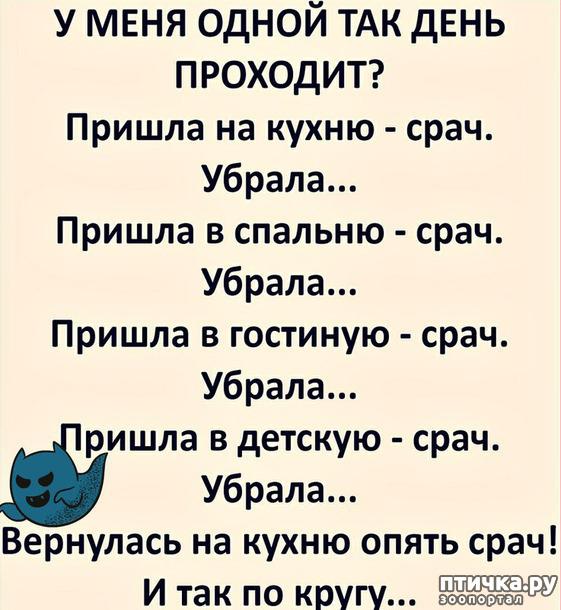 ���� 31: ����������� ��� ������� �� ���������