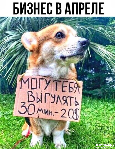 ���� 32: ����������� ��� ������� �� ���������