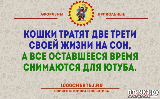 ���� 37: ����������� ��� ������� �� ���������