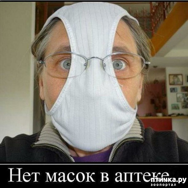 ���� 34: ����������� ��� ������� �� ���������