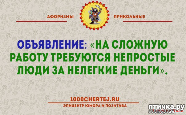 ���� 38: ����������� ��� ������� �� ���������