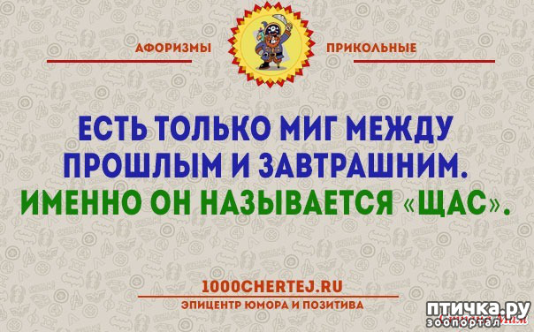 ���� 39: ����������� ��� ������� �� ���������