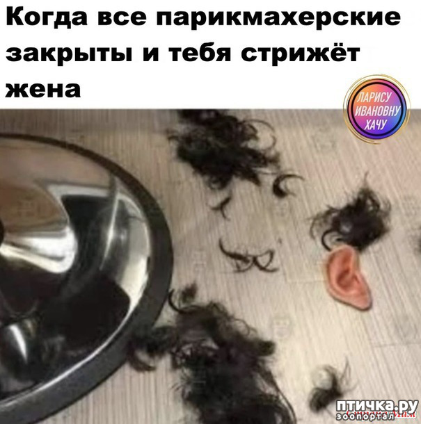 ���� 41: ����������� ��� ������� �� ���������