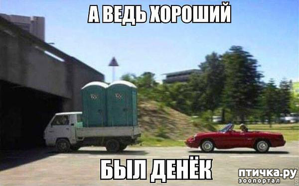 ���� 45: ����������� ��� ������� �� ���������