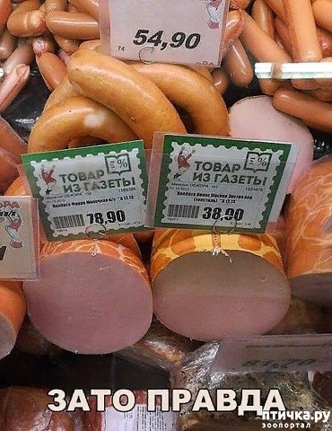 ���� 46: ����������� ��� ������� �� ���������