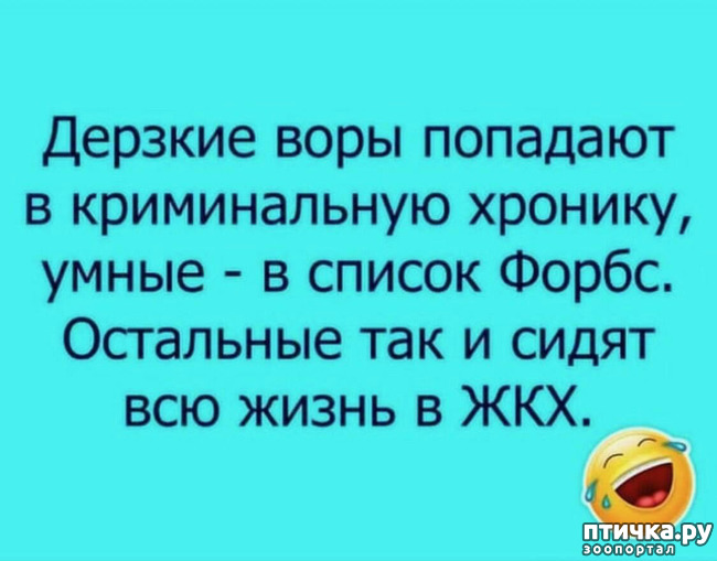 ���� 49: ����������� ��� ������� �� ���������