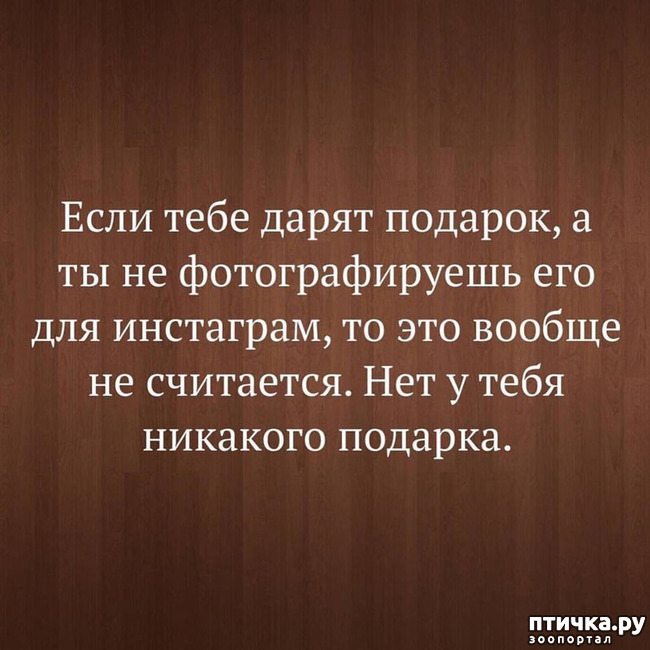 ���� 51: ����������� ��� ������� �� ���������