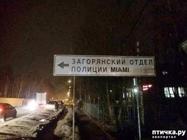 ���� 55: ����������� ��� ������� �� ���������