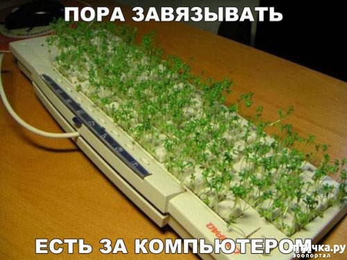 ���� 60: ����������� ��� ������� �� ���������