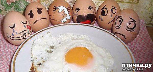 ���� 59: ����������� ��� ������� �� ���������