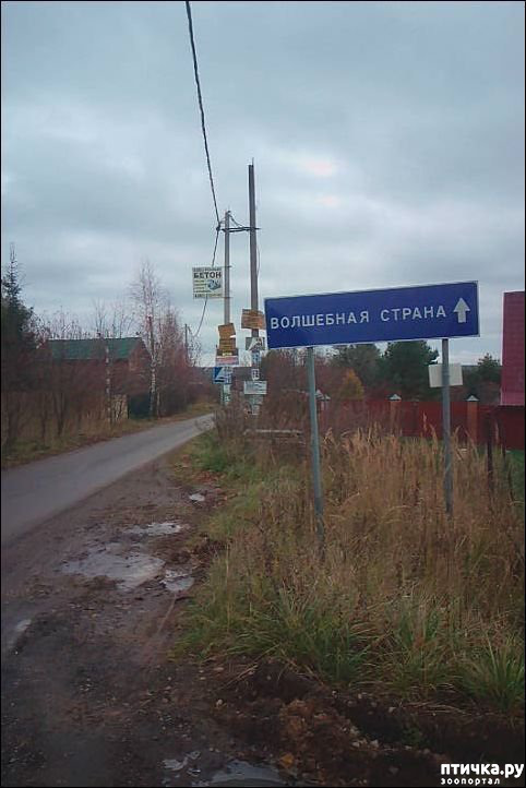 ���� 62: ����������� ��� ������� �� ���������