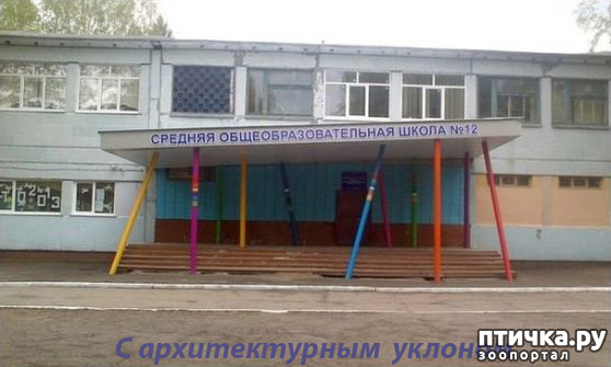 ���� 54: ����������� ��� ������� �� ���������