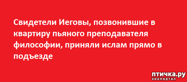 ���� 68: ����������� ��� ������� �� ���������