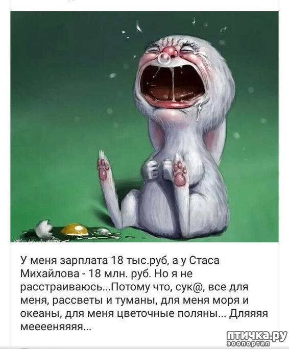 ���� 43: ����������� ��� ������� �� ���������