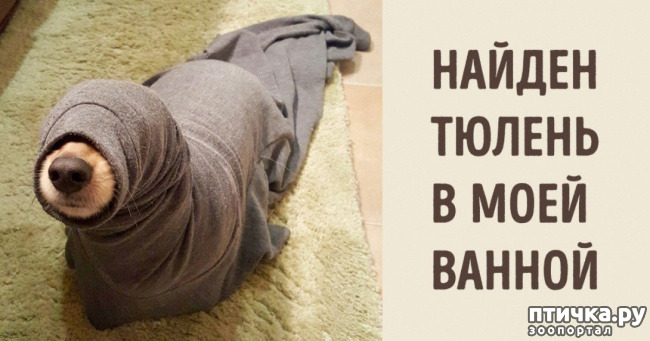 ���� 67: ����������� ��� ������� �� ���������