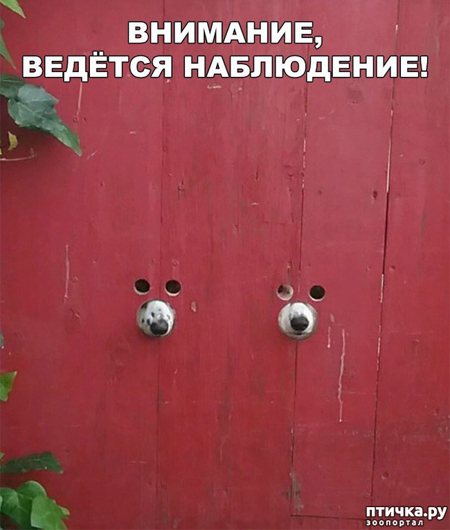 ���� 48: ����������� ��� ������� �� ���������