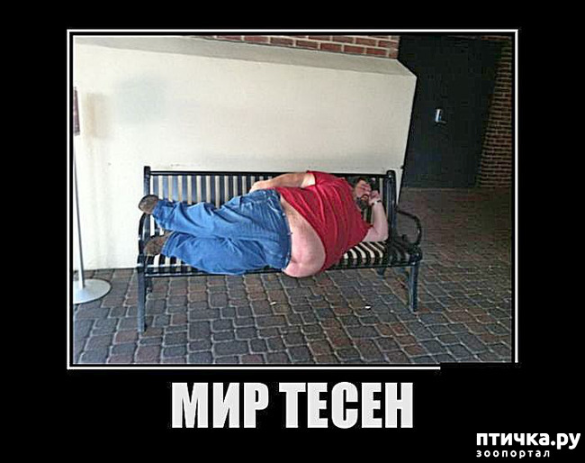 ���� 44: ����������� ��� ������� �� ���������