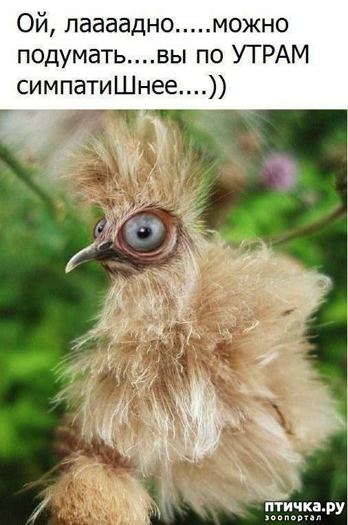 ���� 53: ����������� ��� ������� �� ���������