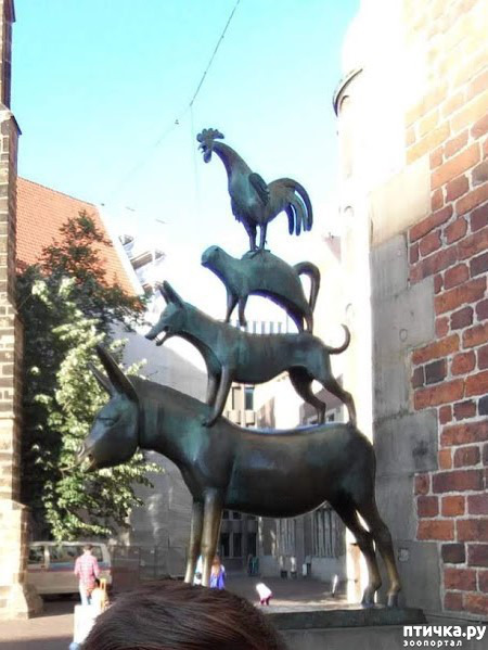 ���� 10: ��������� �� ������ � ���