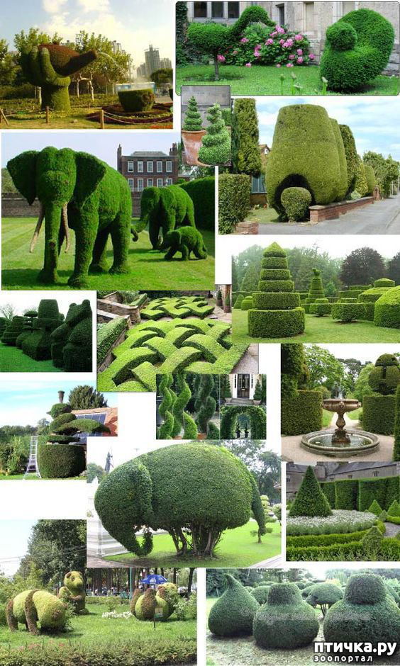 ���� 22: ��������� �� ������ � ���