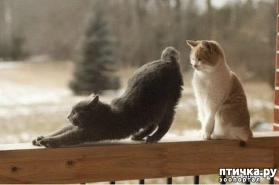 ���� 1: � ����� ������ ����� ����