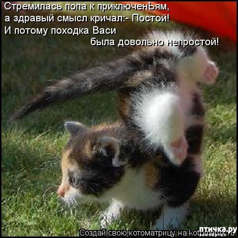 ���� 3: � ����� ������ ����� ����