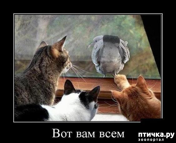 ���� 4: � ����� ������ ����� ����