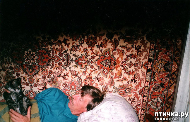 ���� 3: ���. ��������� ���.