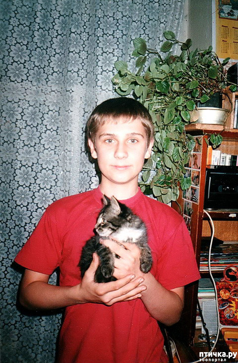 ���� 2: ���. ��������� ���.